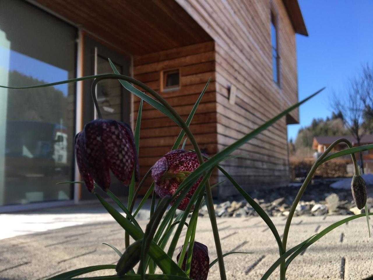 Gaestewohnung Zum Atelier Immenstadt im Allgäu Екстериор снимка